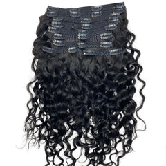 PL Clip-Ins