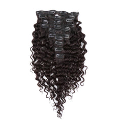 PL Clip-Ins